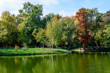 Landscape with many large green and yellow old trees near the lake in Carol Park in Bucharest,...