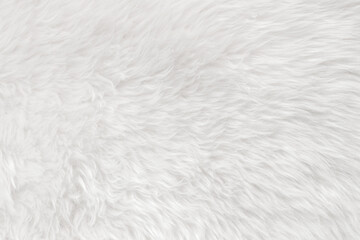 White clean wool with white top texture background. light natural sheep wool. white seamless...