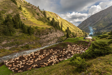 shepherds' camp in the high mountains