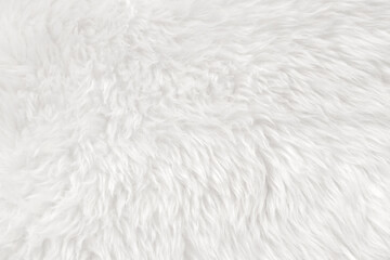 White clean wool with white top texture background. light natural sheep wool. white seamless cotton. texture of fluffy fur for designers. close-up fragment white wool carpet