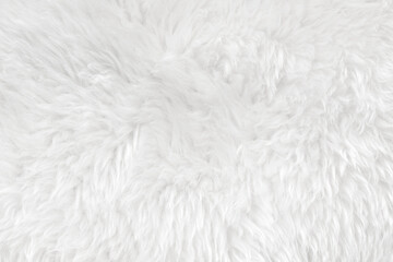 White clean wool with white top texture background. light natural sheep wool. white seamless cotton. texture of fluffy fur for designers. close-up fragment white wool carpet