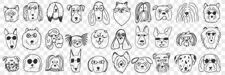Dogs faces doodle set. Collection of hand drawn funny cute faces of dogs pets of different breeds and fur styles isolated on transparent background. Illustration of dogs breeds for kids © drawlab19