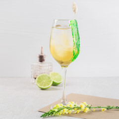 Drinks and cocktails. Alcoholic cocktail with ice in a clear glass on table.