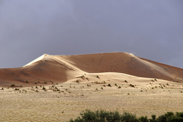 Fototapeta na wymiar Namib Naukluft, Namib Naukluft