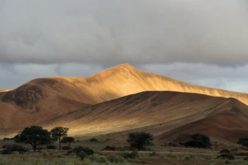 Foto op Plexiglas Namib Naukluft, Namib Naukluft © AGAMI