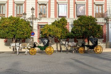 empty horse-drawn carriages wait for tourists at the Plaza del Triunfo Square for tourists