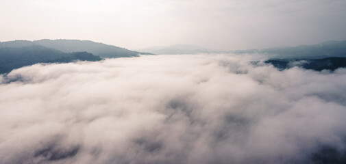 Obraz premium Fog in the forest, trees and mountains, mist in the morning