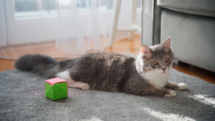 Fototapety na wymiar - Fototapeta24.pl