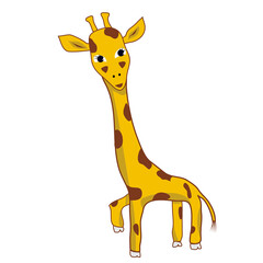 Fototapeta premium Giraffe animal looking straight - character hand drawing flat illuctration.