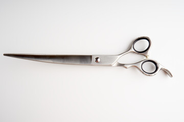 Dog grooming scissors isolated on light background
