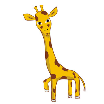 Giraffe animal looking straight - character hand drawing flat illuctration.