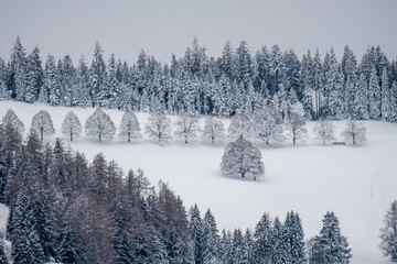 winter in Emmental, Switzerland