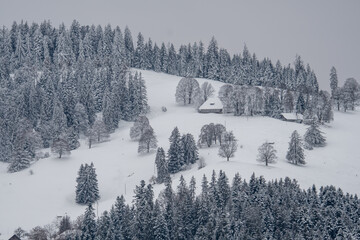 winter in Emmental, Switzerland