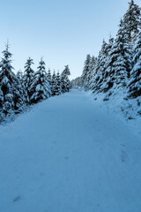 Snowcapped trail with frozen trees around and clear sky bellow Lysa hora hill in Moravskoslezske Beskydy mountains in Czech republic