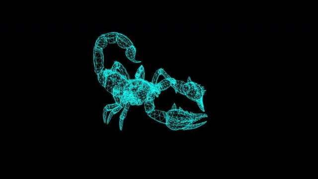4k wireframe animation -Forest scorpion in an aggressive posture