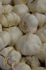 Many heads of white garlic for sale at an outdoor farmer's market.