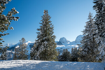 perfect winter weather in Naturpark Gantrisch with Nüneneflue