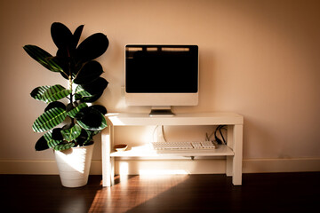 Inside the bedroom, there is a personal computer and air purifying plants to add more beauty and fresh air. Rubber plant inside bedroom