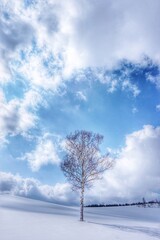 Bare Tree On Field Against Sky