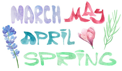 Multicolored lettering march, april, may, spring and lavender sprig, crocus flower and green branch.