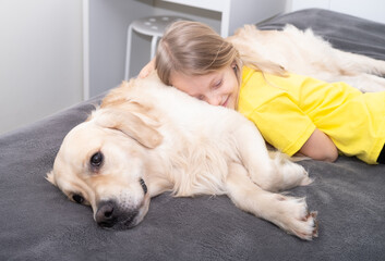 Little girl in a yellow T-shirt hugs a dog on the bed. Golden Retriever is playing with a child. Trending colors of 2021 gray and yellow