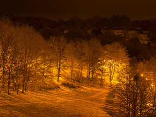 Naklejka na ściany i meble Snowy meadow and trees at night, illuminated by orange-yellow light from street lamps