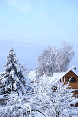 Snowy winter sky against the background of snow-covered trees and a village house   