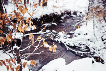 Wasser im Schnee Bach Fluss