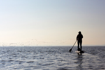 Silhouette of woman girl paddle SUP boarding at lake against flock of flying birds