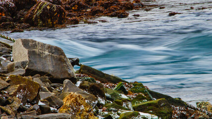 Coastal winter landscape