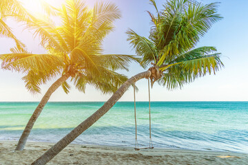 Fototapeta na wymiar Chairs and umbrella In palm beach - Tropical holiday banner. White sand and coco palms travel tourism wide panorama background concept and swing under tree