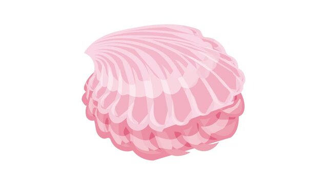 Sweet candy shell icon animation best object on white background