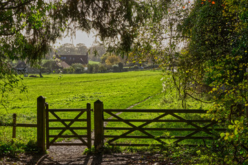 Five bar gate and field, Sussex, England