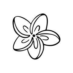 Plumeria flower outline. Frangipani line art vector illustration isolated on white background. Plumeria silhouette icon, blossom doodle and simple element.