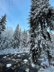 Beautiful winter landscape of the river in the forest with the snow-covered trees