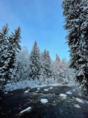 Beautiful winter landscape of the river in the forest with the snow-covered trees