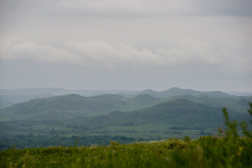 Gray rocks, green forest and snow-capped mountains on the background-Altai