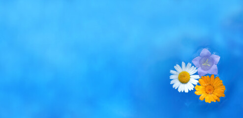 chamomile and other flowers float in the water that reflects the sky. natural aromatherapy