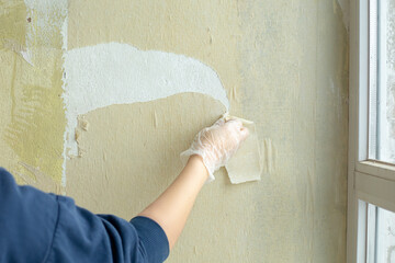 female worker's hand removes old wallpaper from the wall. The concept of repair, construction work