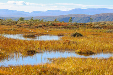 Forollhogna national park, Norway