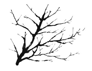 silhouette illustration of a dead tree