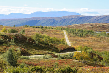 Forollhogna National park
