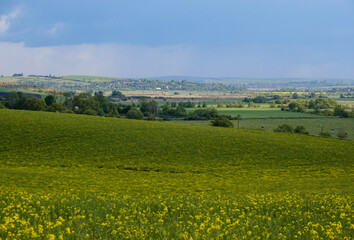 Fototapeta premium Spring countryside view with rapeseed yellow blooming fields, groves, hills. Ukraine, Lviv Region.