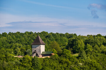 Obraz premium Pyatnychany tower (defense structure, 15th century) on forest hill slope, Lviv Region, Ukraine.