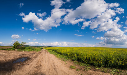 Spring countryside view with dirty road, rapeseed yellow blooming fields, village, hills. Ukraine, Lviv Region.