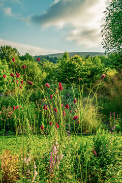 Garden view towards Cawsand/ Cosdon Beacon, Dartmoor, Devon