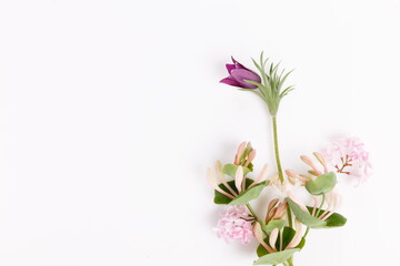 Spring cute bouquet of anemone and lilac on white background. Top view, flat lay. Copy space.