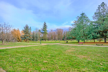 Green yard and trees with huge mountain and blue sky background.