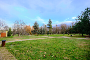 Fototapeta na wymiar Green yard and trees with huge mountain and blue sky background.