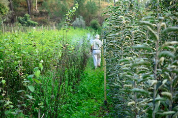 Agricultor cuidado das árvores com spray pulverizador
